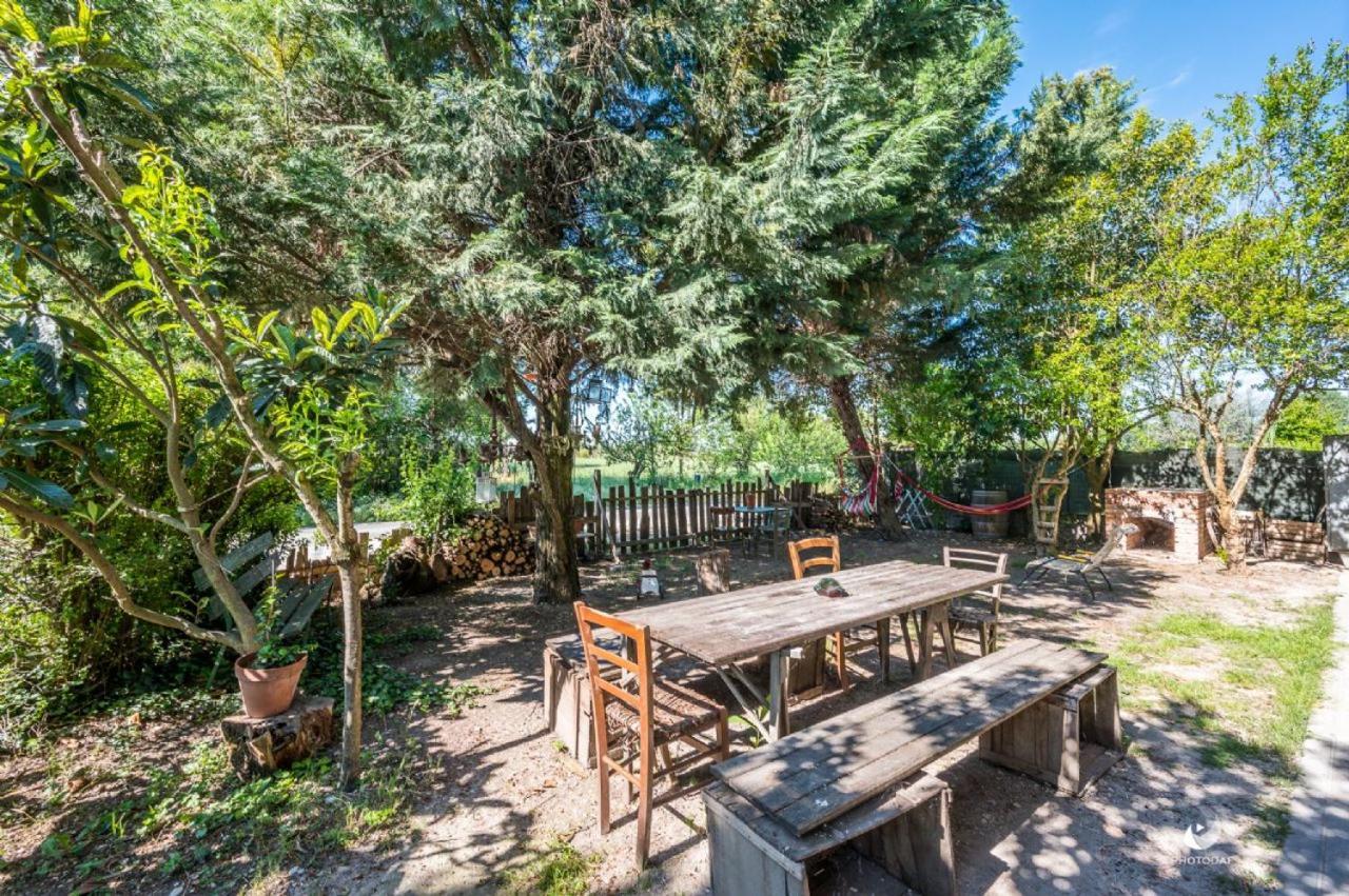 Nonantola Selvatica50 B&B المظهر الخارجي الصورة