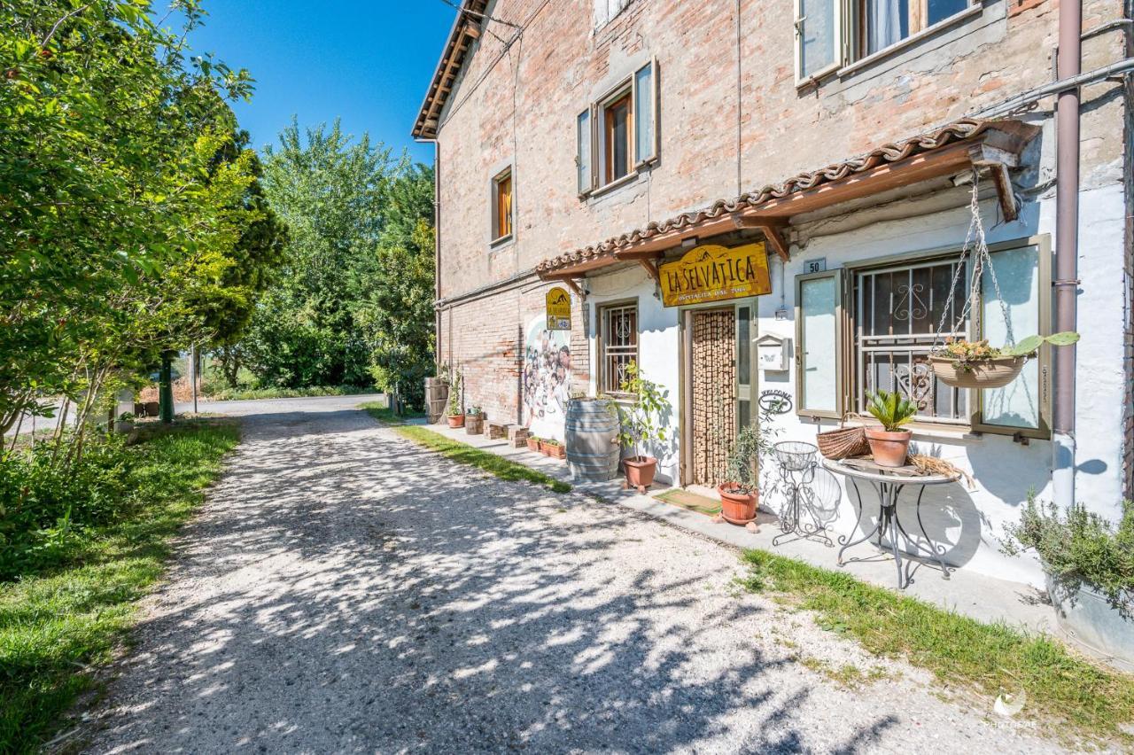 Nonantola Selvatica50 B&B المظهر الخارجي الصورة