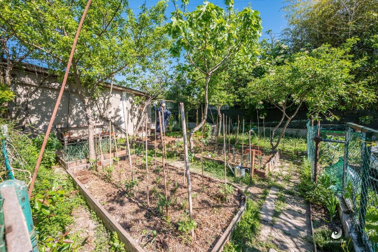 Nonantola Selvatica50 B&B المظهر الخارجي الصورة