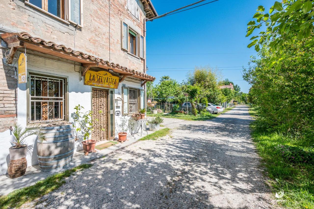 Nonantola Selvatica50 B&B المظهر الخارجي الصورة