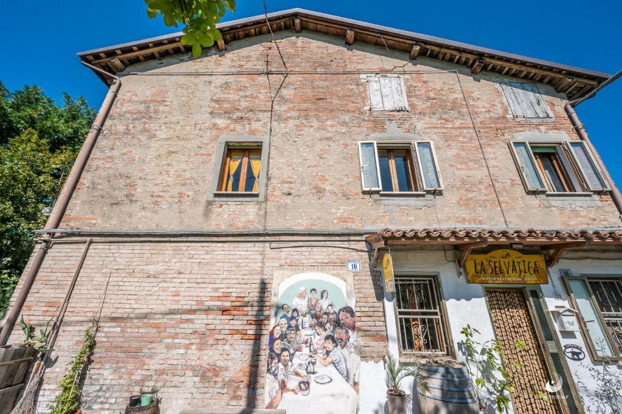 Nonantola Selvatica50 B&B المظهر الخارجي الصورة